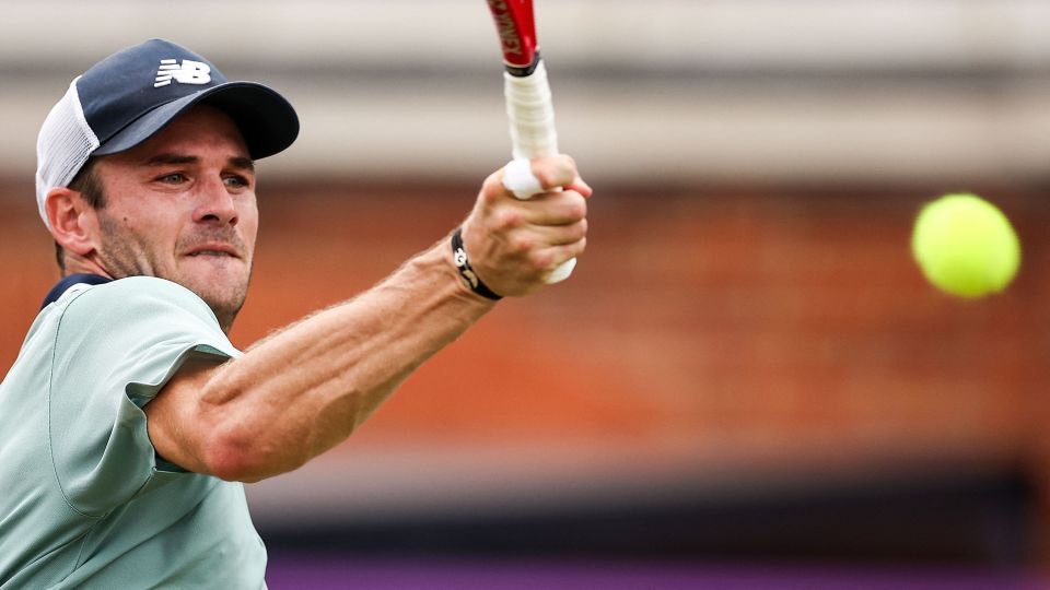 今年却因浓 今年却因浓